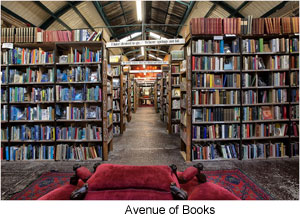 'Avenue Of Books